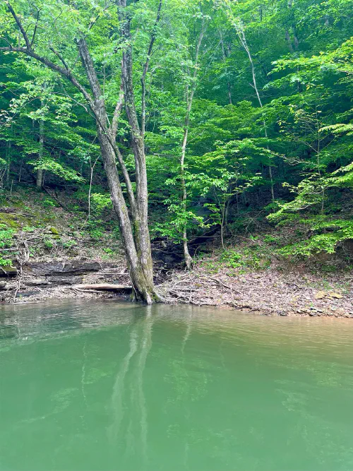 Lake Cumberland shoreline view