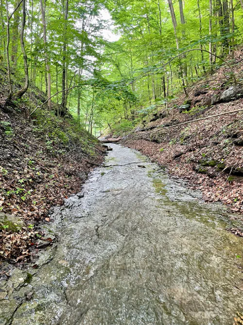 Lake Cumberland scenic view