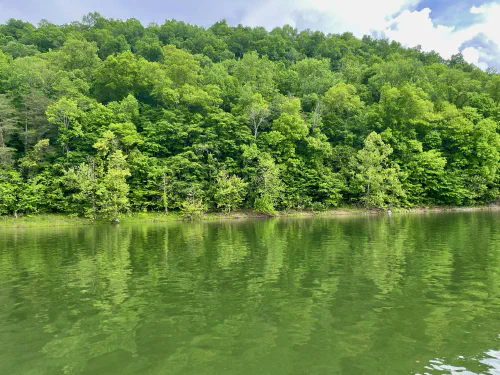 Lake Cumberland evening calm