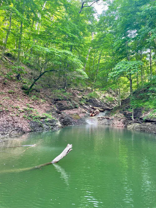 Lake Cumberland tranquil waters