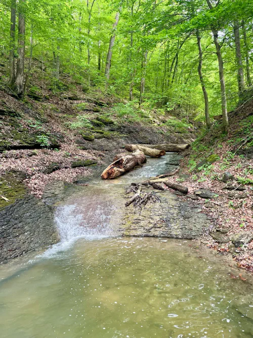 Lake Cumberland peaceful cove